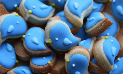 bluebird-twitter-cookies