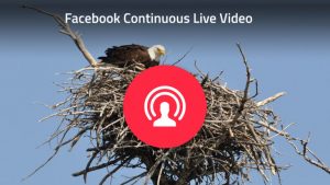 facebook-continuous-live-video-api