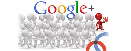 google-popularity