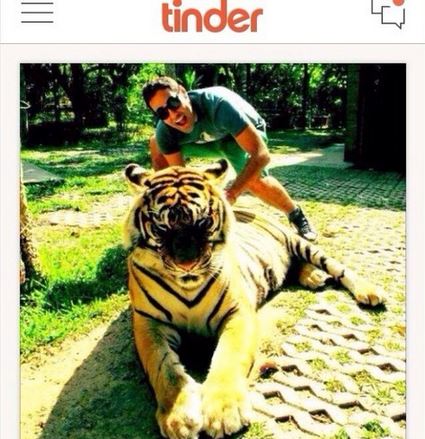 tinder-tigris